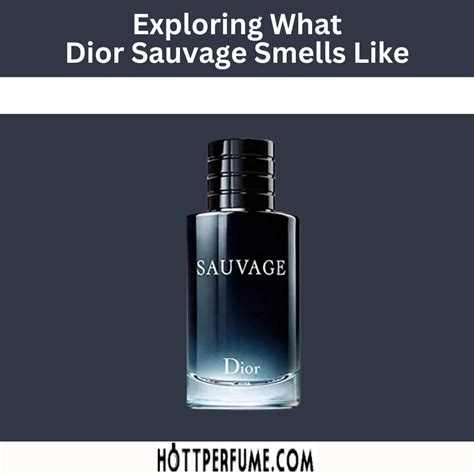 sausage von dior|dior sauvage smells like.